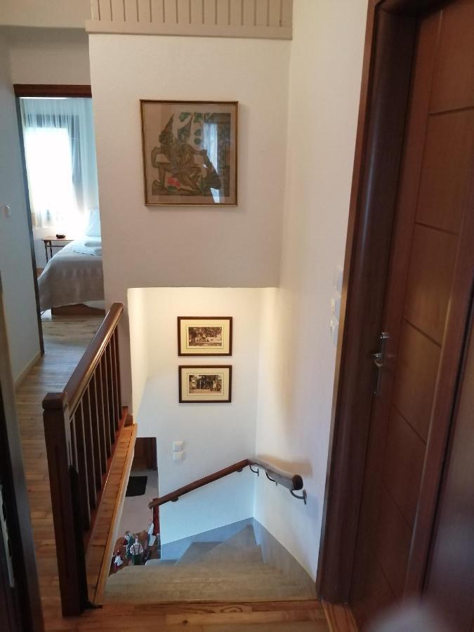 Delux House In Tsangarada Villa Tsagkarada Eksteriør billede