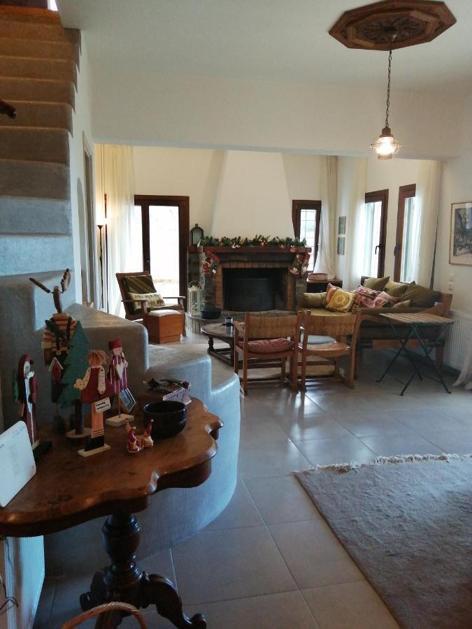 Delux House In Tsangarada Villa Tsagkarada Eksteriør billede