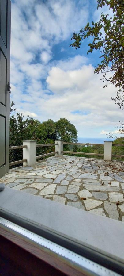 Delux House In Tsangarada Villa Tsagkarada Eksteriør billede