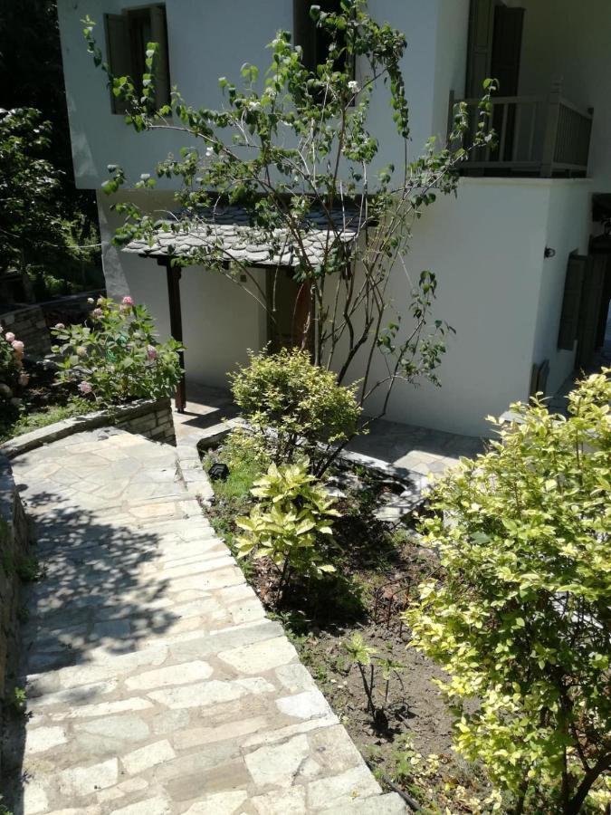Delux House In Tsangarada Villa Tsagkarada Eksteriør billede
