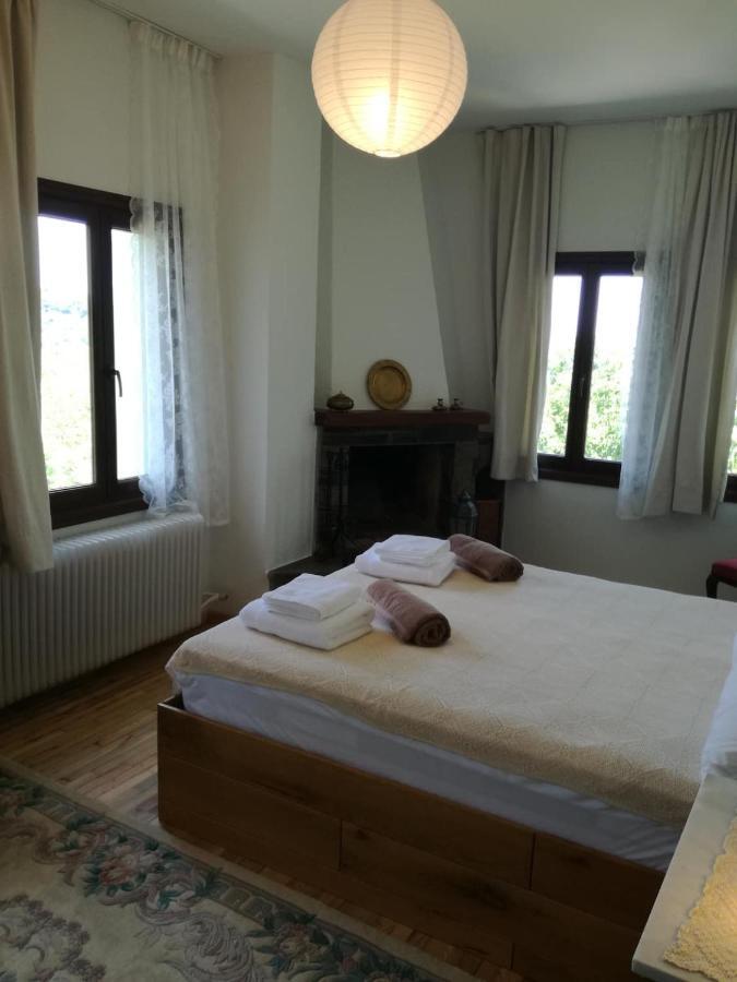 Delux House In Tsangarada Villa Tsagkarada Eksteriør billede